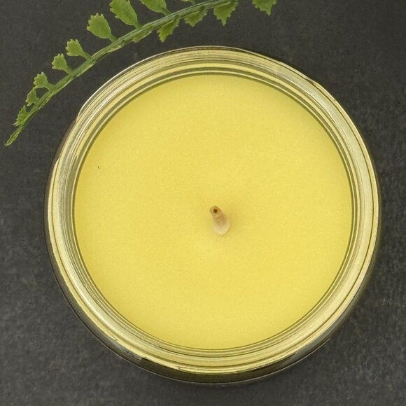 BBW Pink Pineapple Sunrise Bath & Body Works Mason Jar Single Wick Candle - Picture 6 of 10